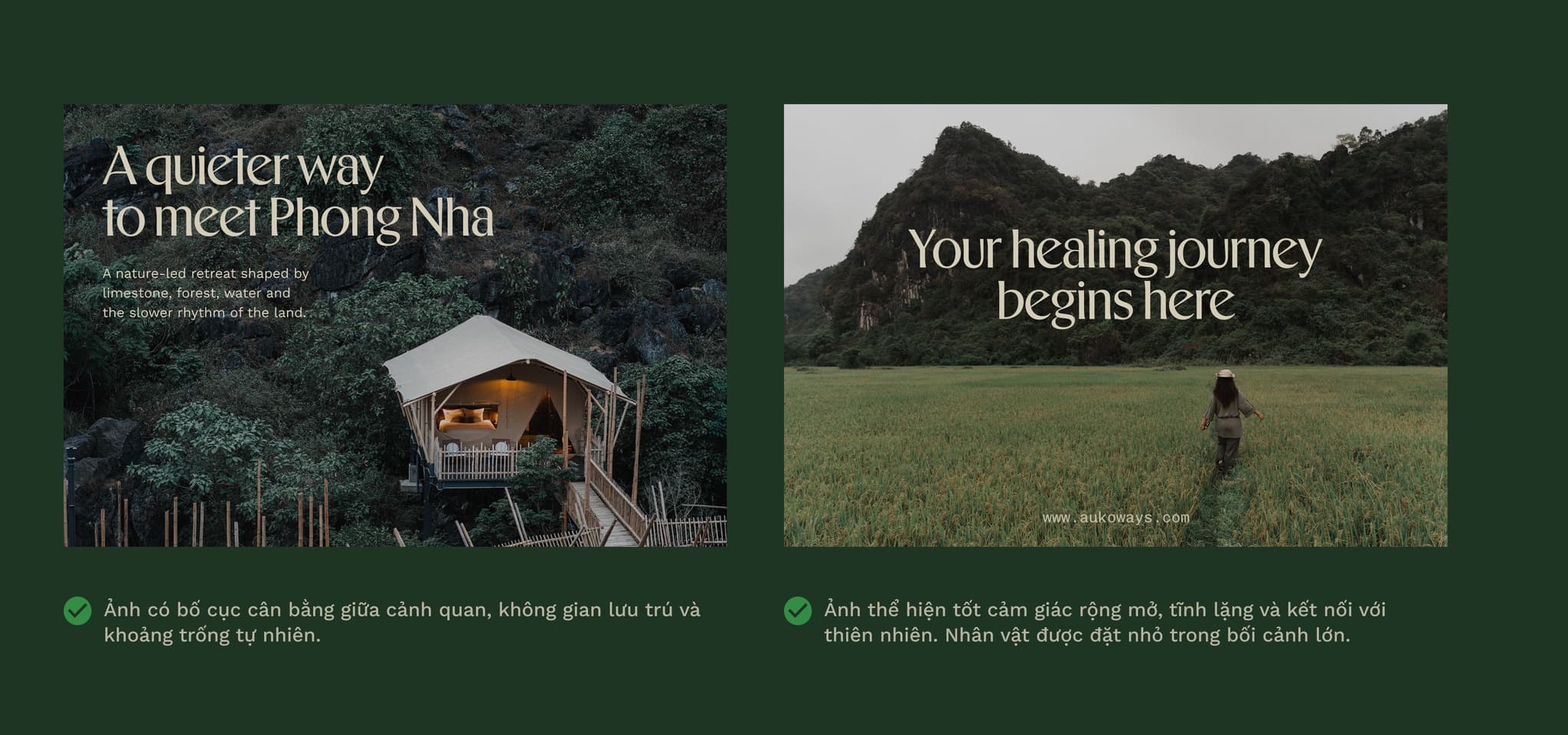 Two side-by-side nature-themed promotional visuals for Auko Eco-Wellness Lodges: the left shows a forest lodge with the headline “A quieter way to meet Phong Nha,” while the right shows a person walking through a grassy landscape beneath the headline “Your healing journey begins here.” Both include Vietnamese guidance text below.
