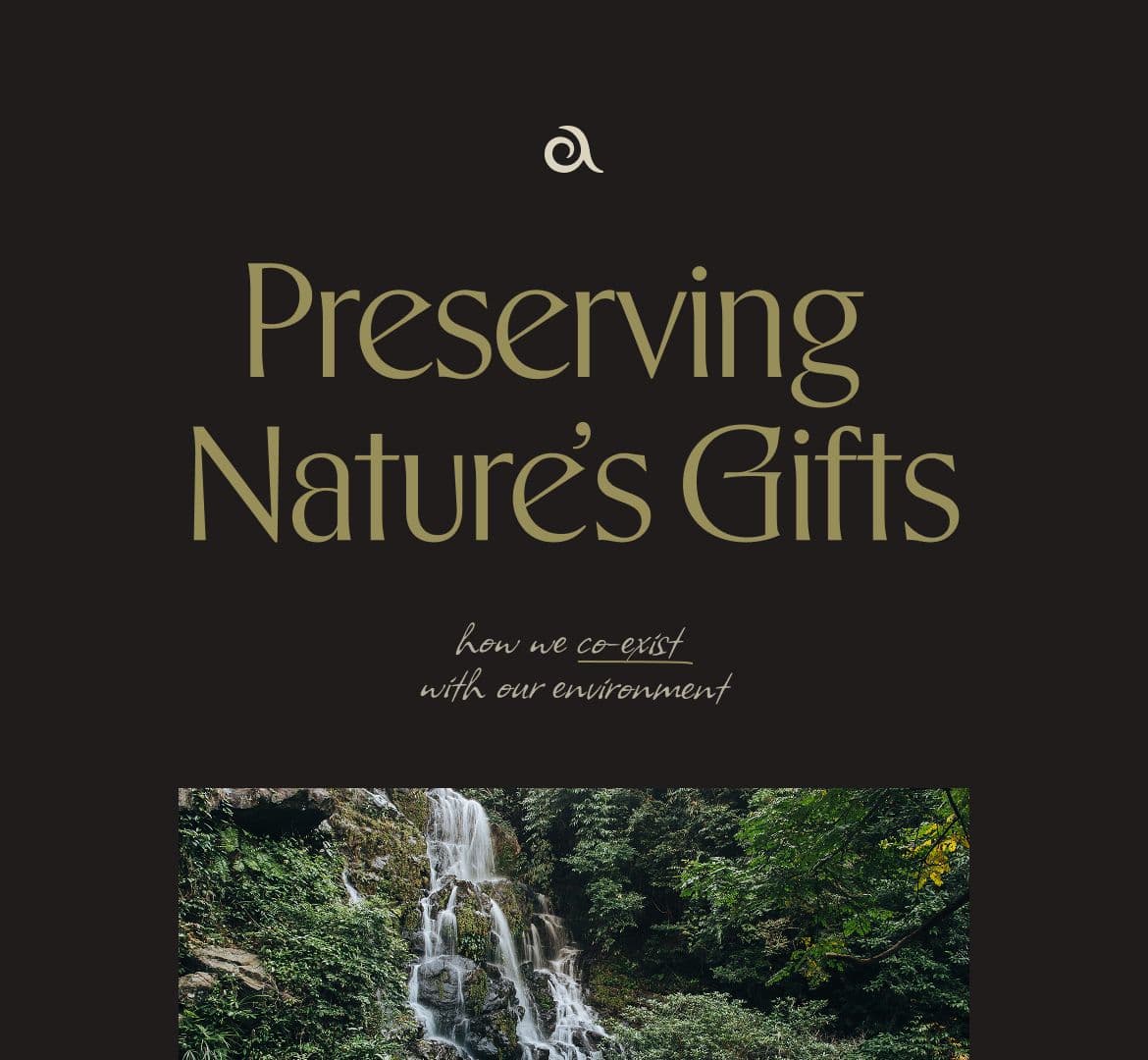Một poster nền tối với tiêu đề “Preserving Nature’s Gifts”, chữ in thanh mảnh màu vàng nhạt và hình thác nước bên dưới, thể hiện cảm giác mềm mại và ấm áp khi phối hợp font chính.