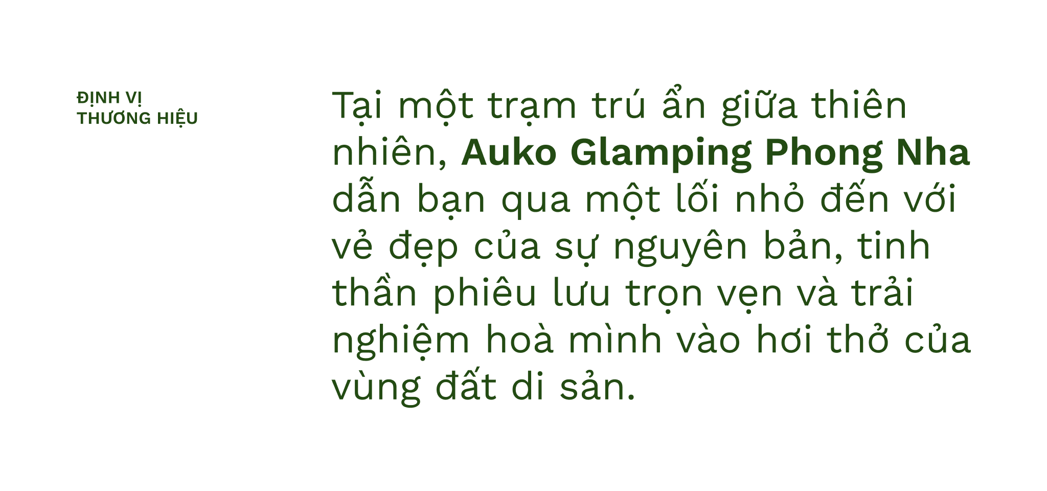 Kiểu chữ bổ trợ.svg