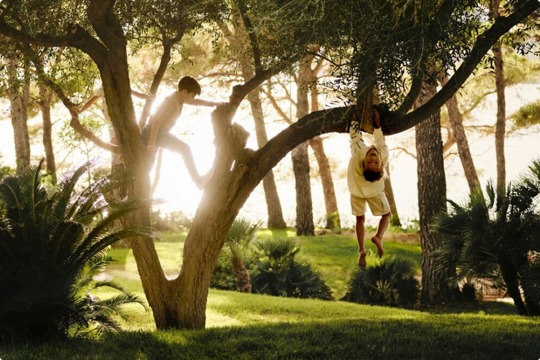 Tông màu & ánh sáng.jpg